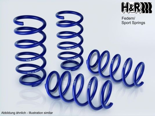 H+R Performance Lowering Springs Suspension Kit, springs/shock absorbers